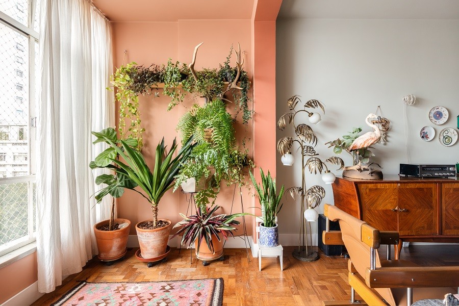 Varanda com muitas plantas e parede colorida, integrada com sala de estar com decoração colorida e vintage. 