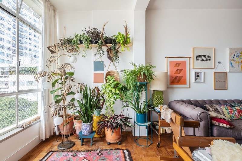 Varanda com muitas plantas integrada com sala de estar com decoração colorida e paredes brancas. 