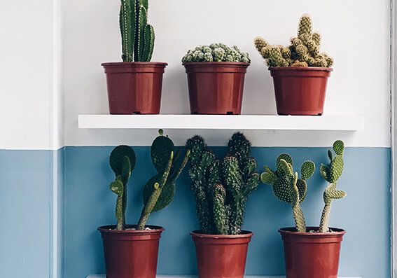 combinação de cores de tintas para a parede (Foto: Apartamento 203)