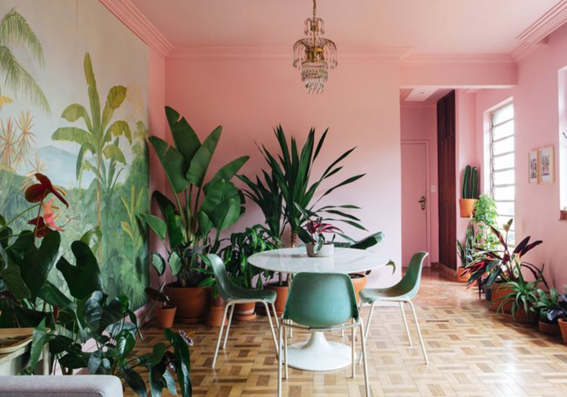 cozinha com paredes rosa, mesa branca, cadeiras azuls e plantas ao redor